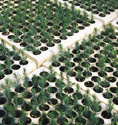 Expandable Polystyrene Use