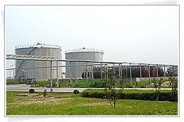  EPS Manufacturer----Bouling Chemical Co., Limited.,
